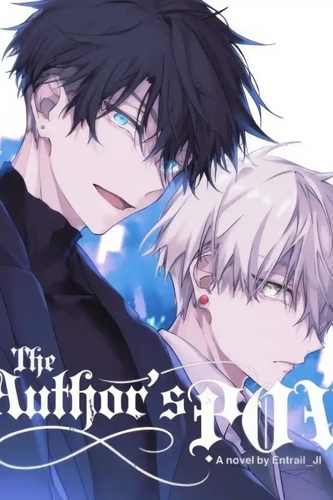 The Author's POV audiobook cover